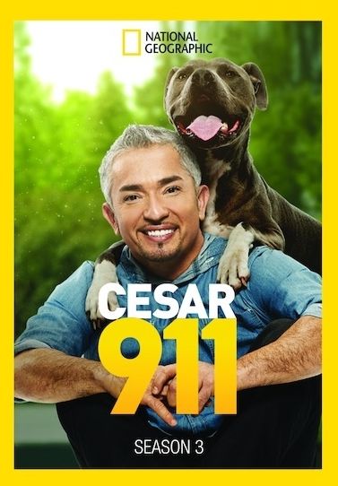 Cesar 911: Season 3 [2 Discs]