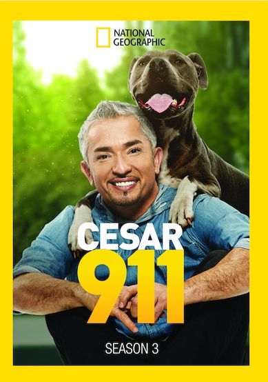 Cesar 911: Season 3 [2 Discs]