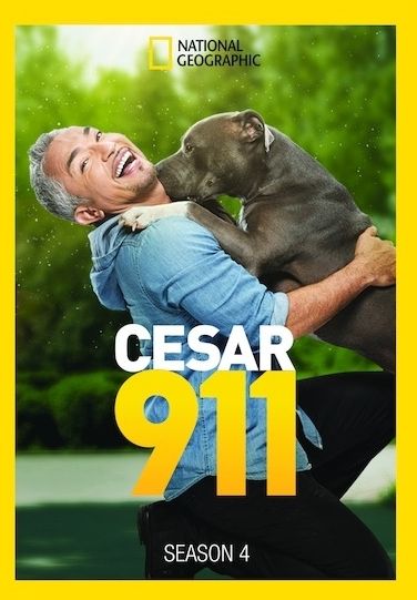 Cesar 911: Season 4