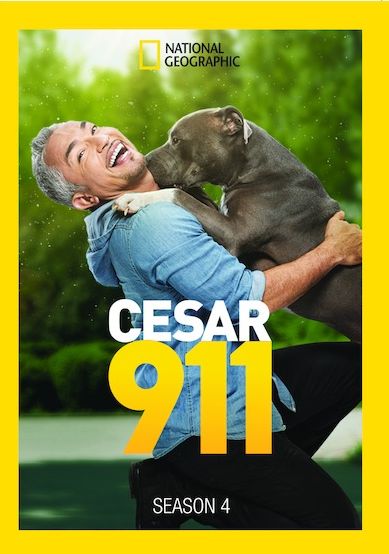 Cesar 911: Season 4