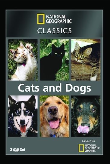 National Geographic: Classics - Cats & Dogs