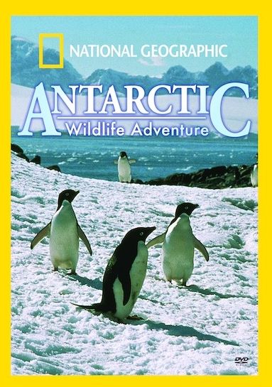 National Geographic: Antarctic Wildlife Adventure