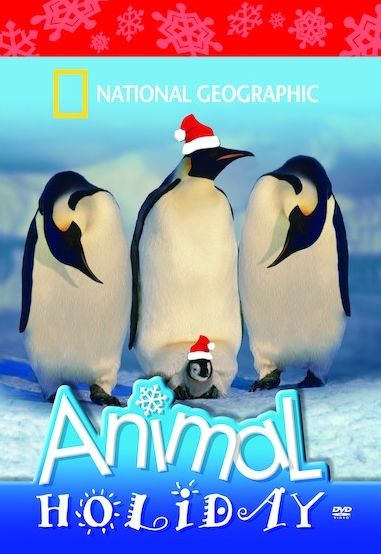 National Geographic: Animal Holiday