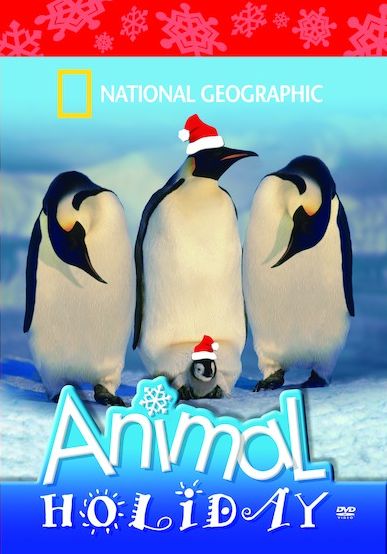 National Geographic: Animal Holiday