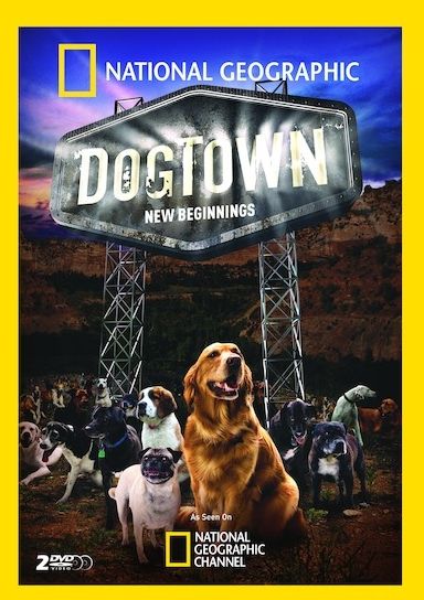 National Geographic: Dogtown - New Beginnings