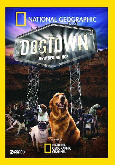National Geographic: Dogtown - New Beginnings