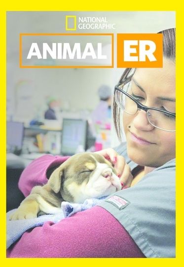 Animal Er