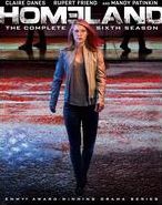 Homeland: Season 6