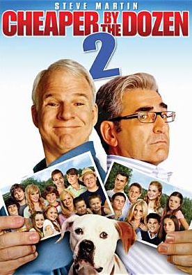 Cheaper by the Dozen 2