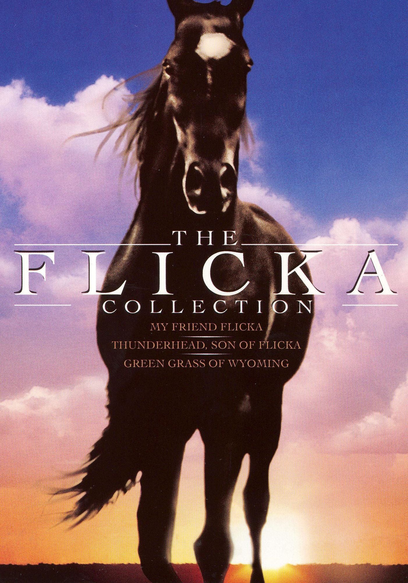 The Flicka Family Classics Collection [3 Discs]
