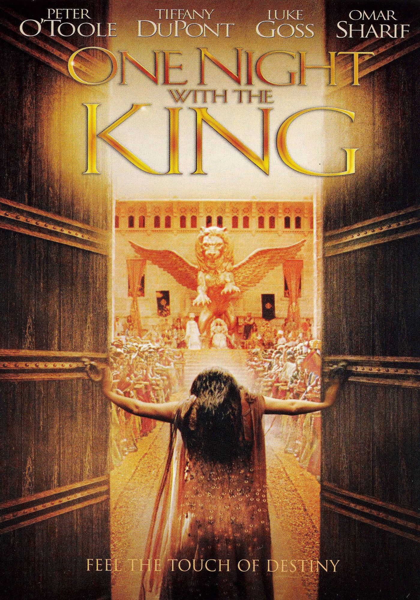One Night with the King