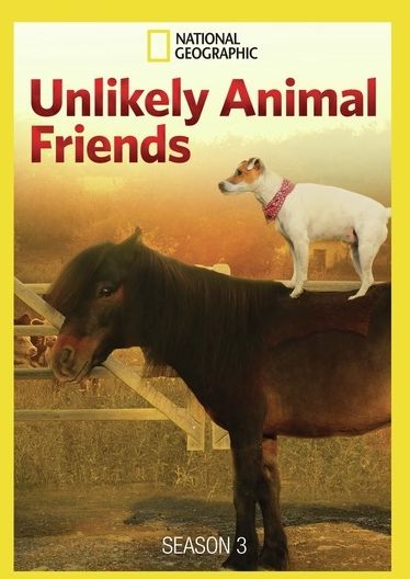 Unlikely Animal Friends: Season 3