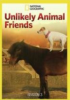 Unlikely Animal Friends: Season 3