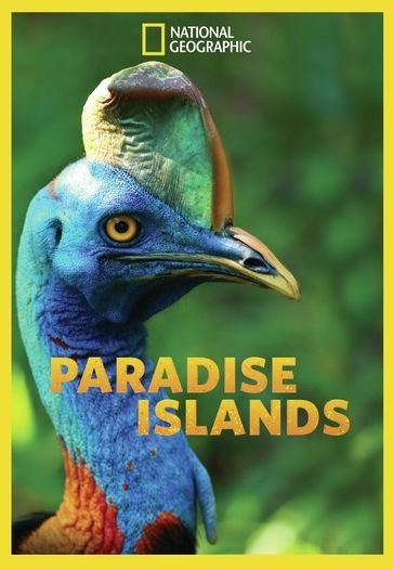 Paradise Islands: Season 1