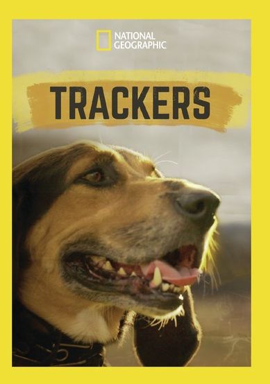 Trackers
