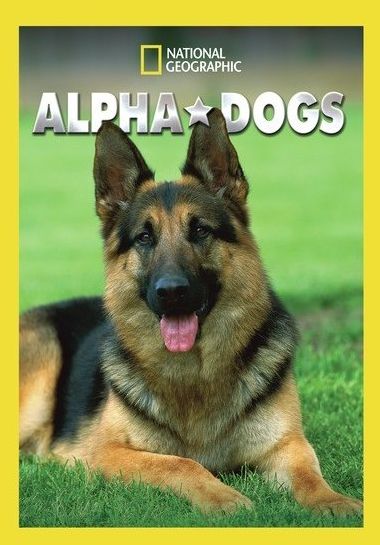 Alpha Dogs