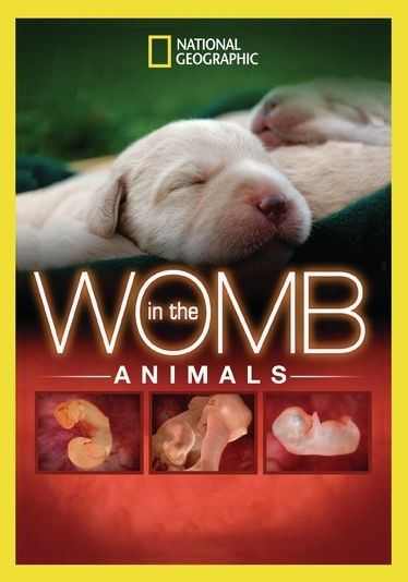 National Geographic: In the Womb - Animals