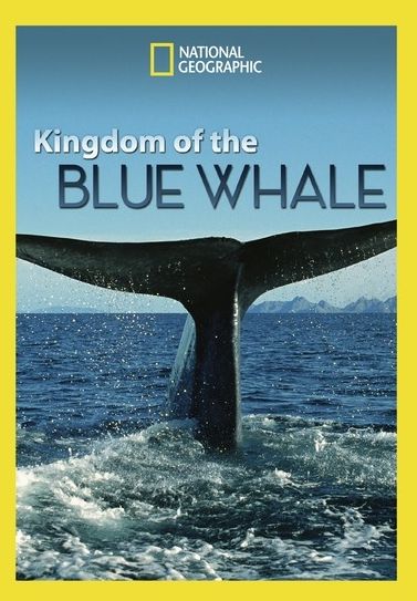 National Geographic: Kingdom of the Blue Whale