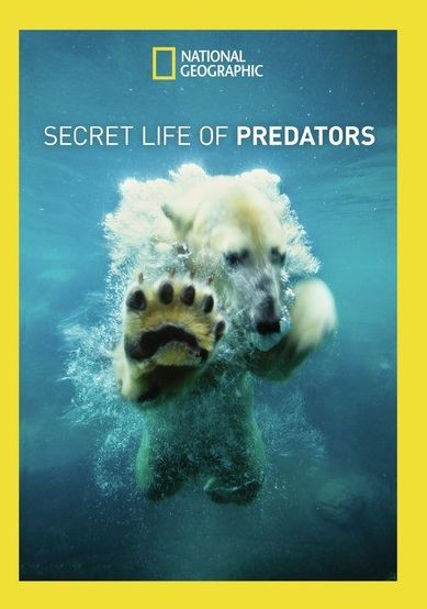 Secret Life Of Predators
