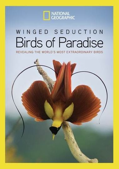 National Geographic: Winged Seduction - Birds of Paradise