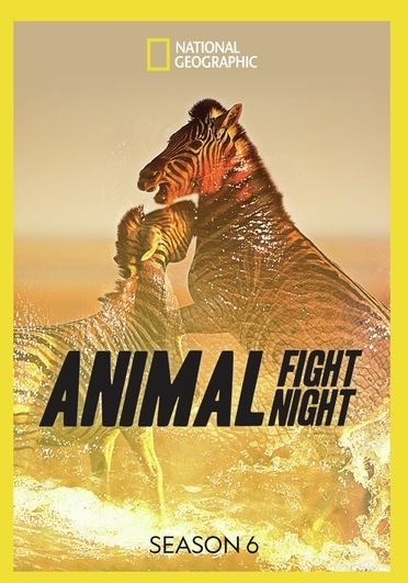 Animal Fight Night: Season 6