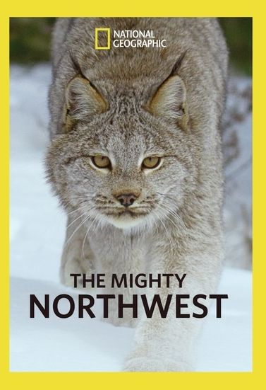 Mighty Northwest