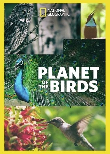 Planet Of The Birds