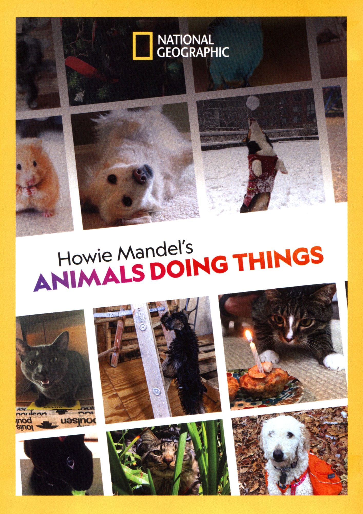 Howie Mandel's Animals Doing Things