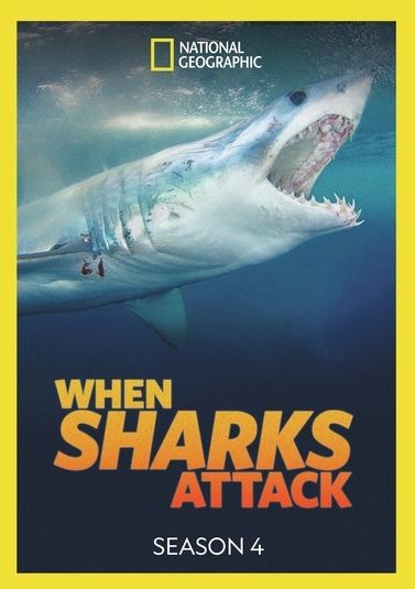 When Sharks Attack: Season 4