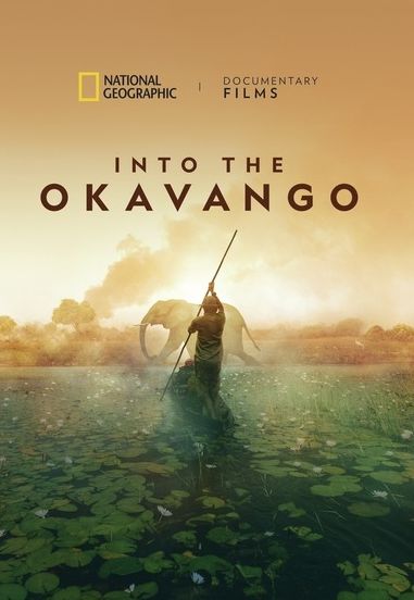Into The Okavango (TV Store)