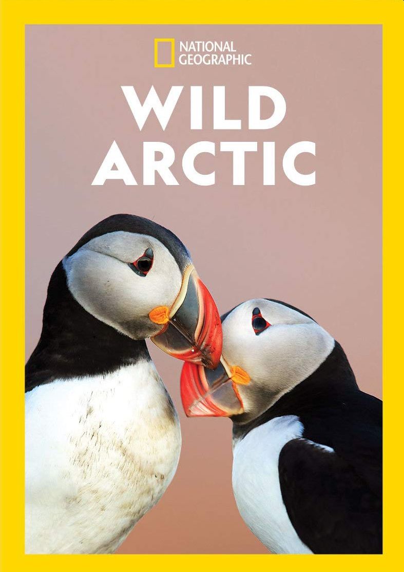 Wild Arctic