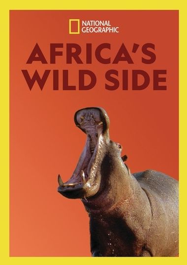 Africa's Wild Side