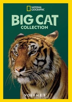 Big Cat Collection 5