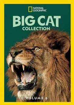 Big Cat Collection 6