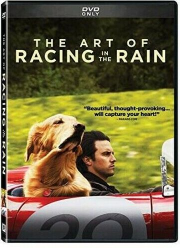 The Art of Racing in the Rain