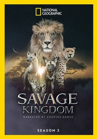 Savage Kingdom: Season 3