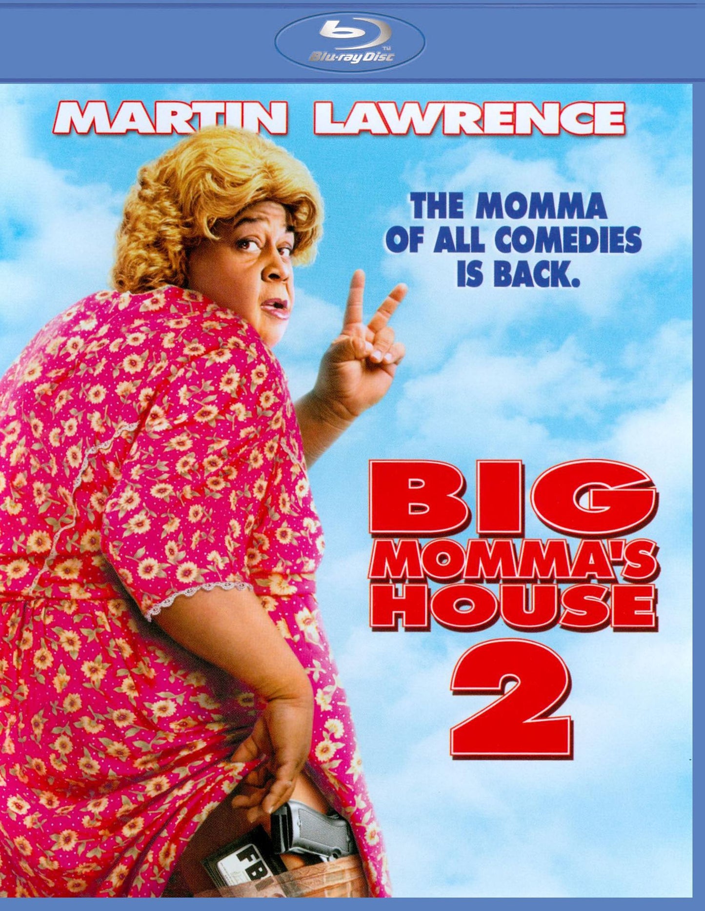 Big Momma's House 2 [Blu-ray]