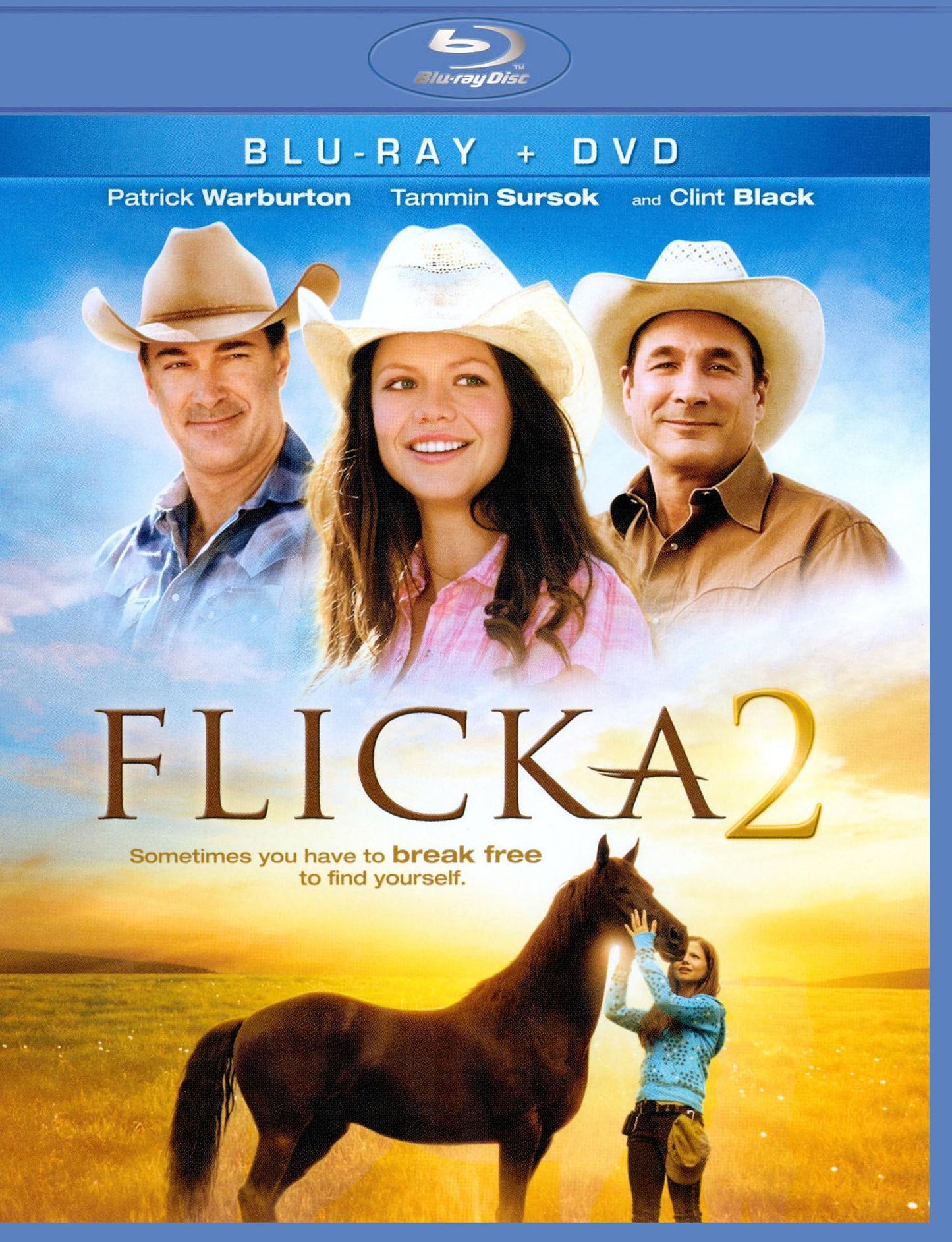 Flicka 2 [2 Discs] [Blu-ray/DVD]