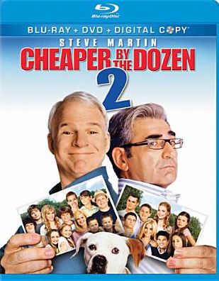 Cheaper By The Dozen 2