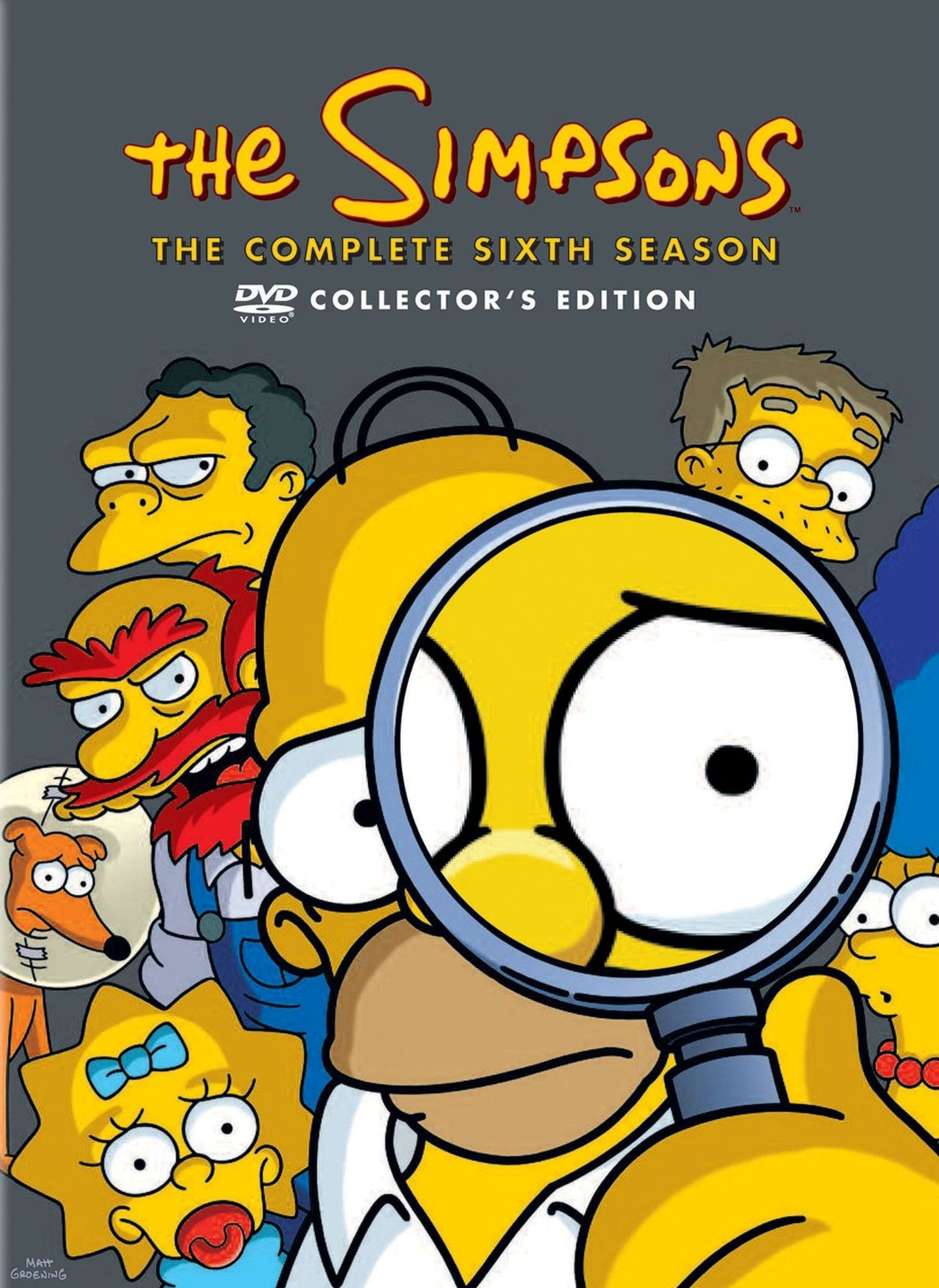 The Simpsons: The Complete Sixth Season [2 Discs]