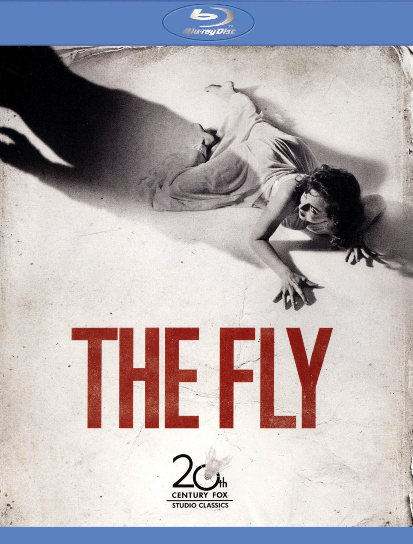 The Fly