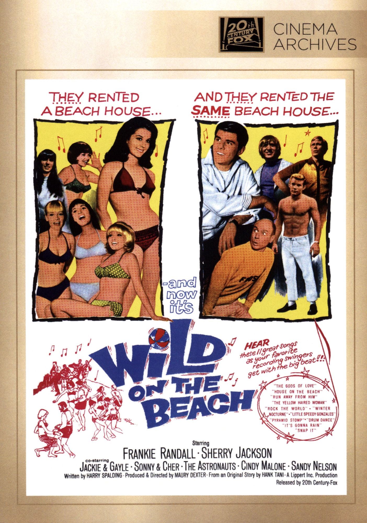 Wild on the Beach