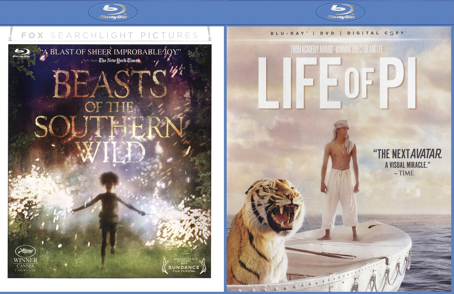 Beasts Of The Southern Wild/life Of Pi