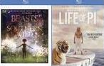 Beasts Of The Southern Wild/life Of Pi