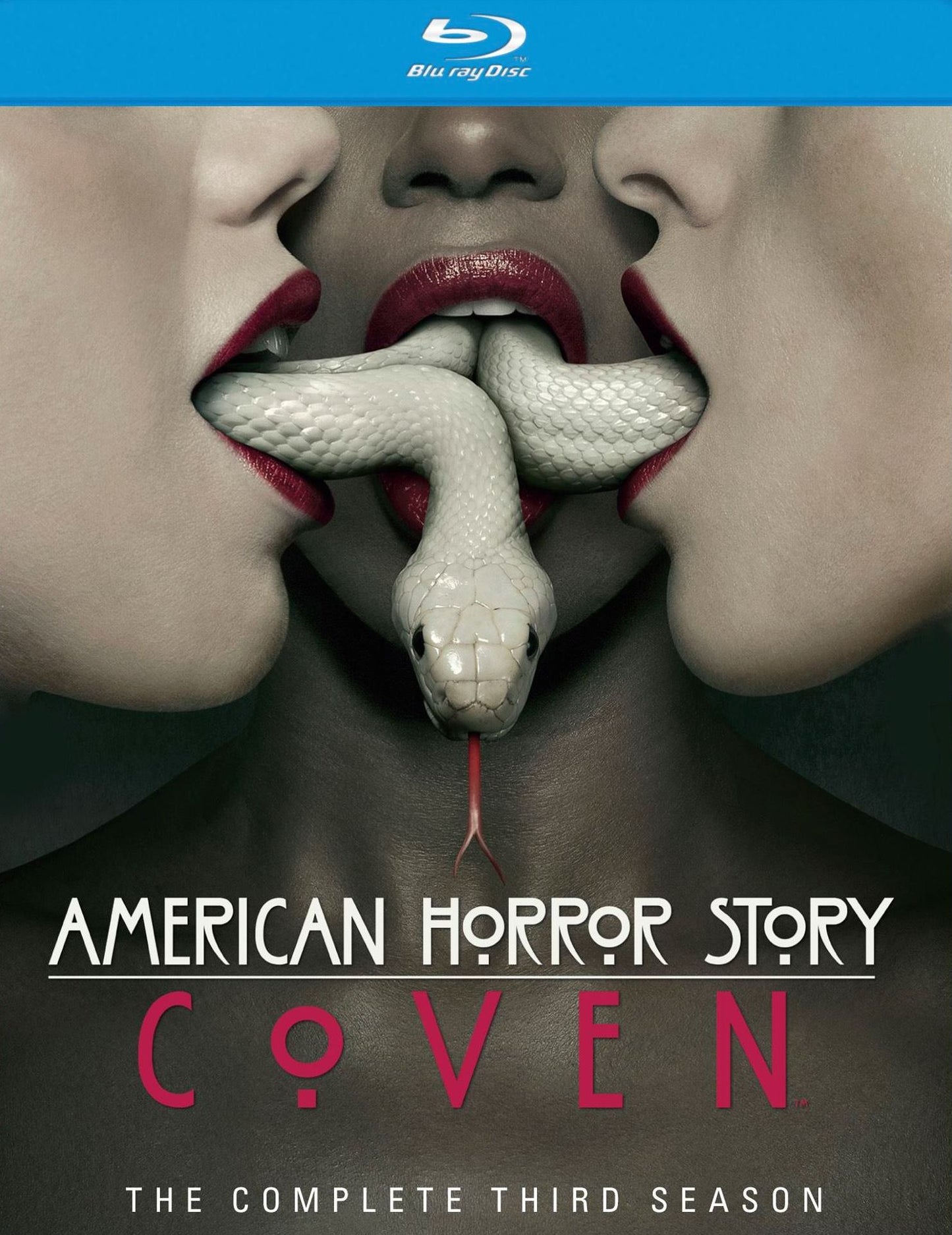 AMERICAN HORROR STORY: S.3 (BR)