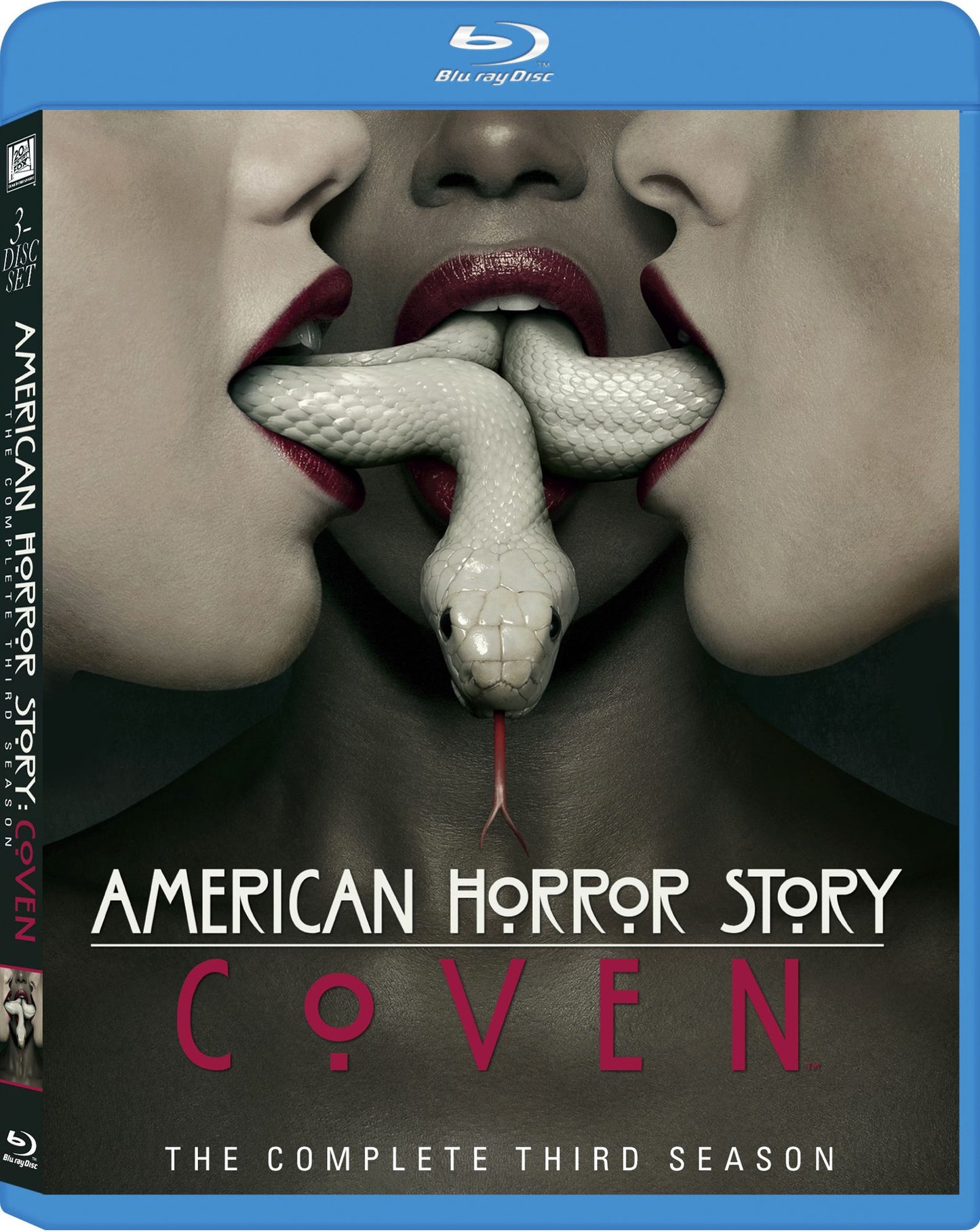 AMERICAN HORROR STORY: S.3 (BR)