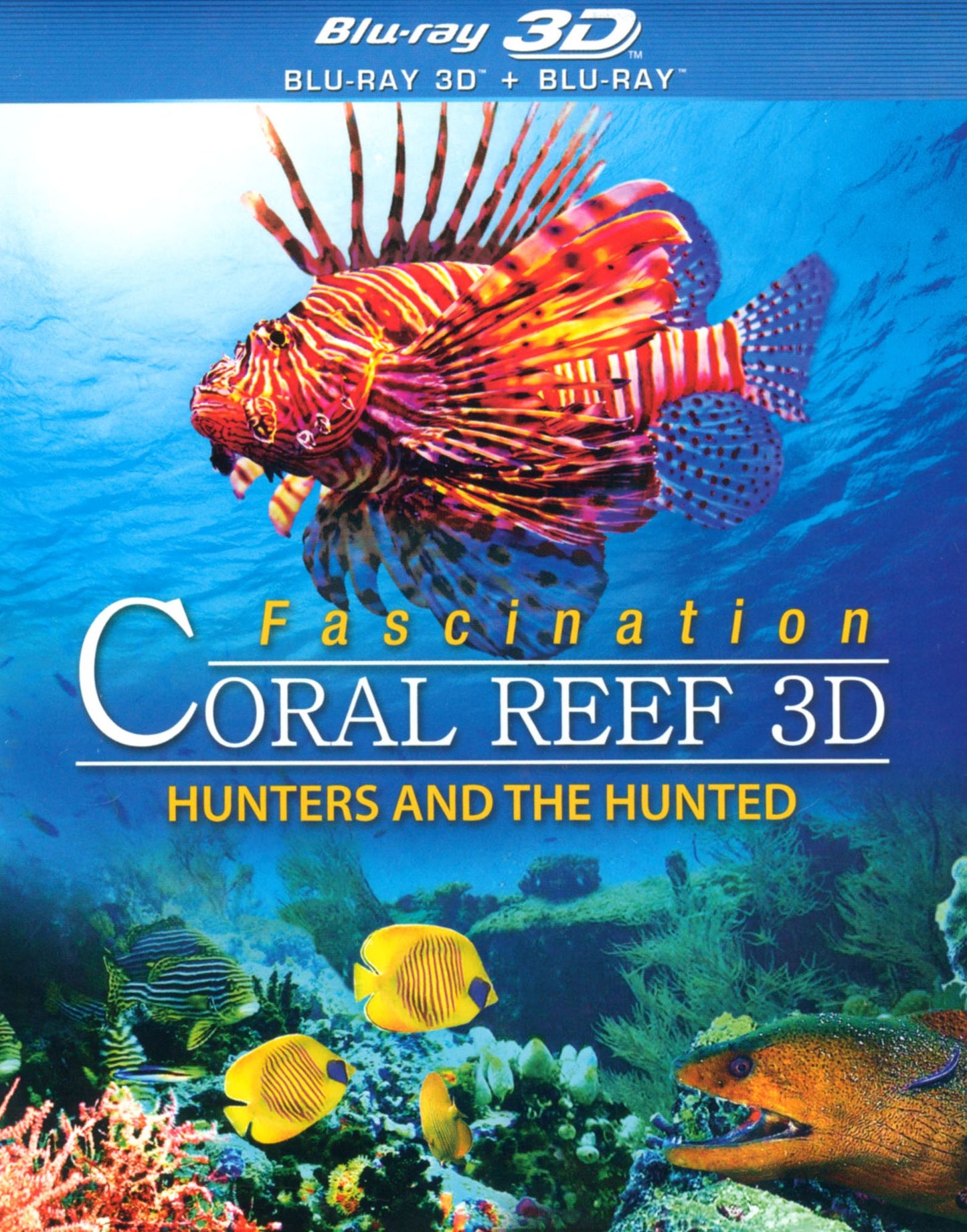 Fascination Coral Reef: Hunters And The Hunted