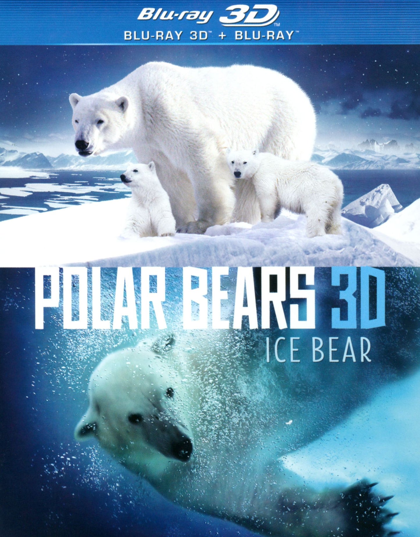 Polar Bears: Ice Bear