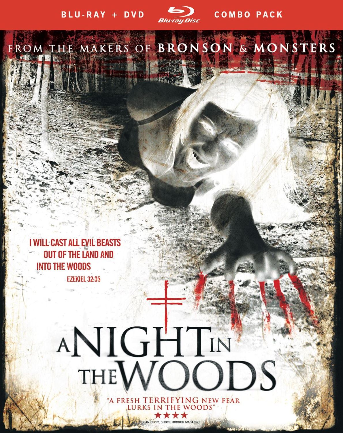 A Night In The Woods