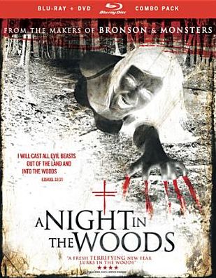 A Night In The Woods